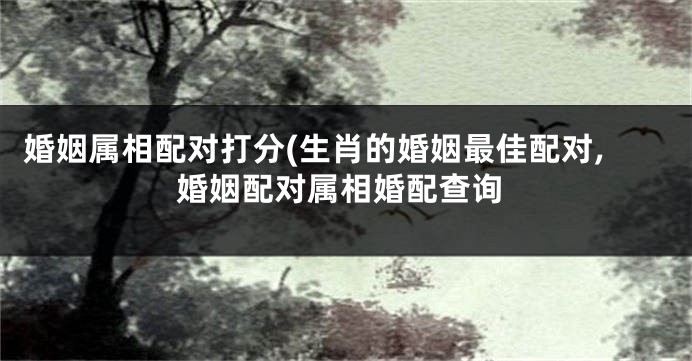 婚姻属相配对打分(生肖的婚姻最佳配对,婚姻配对属相婚配查询