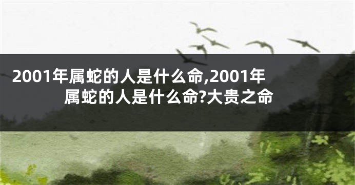 2001年属蛇的人是什么命,2001年属蛇的人是什么命?大贵之命