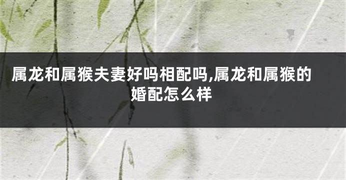 属龙和属猴夫妻好吗相配吗,属龙和属猴的婚配怎么样