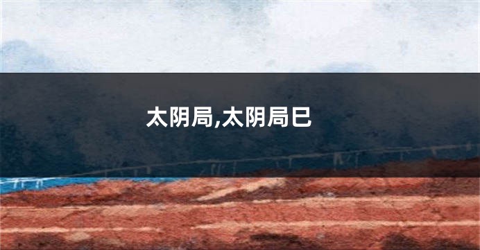 太阴局,太阴局巳