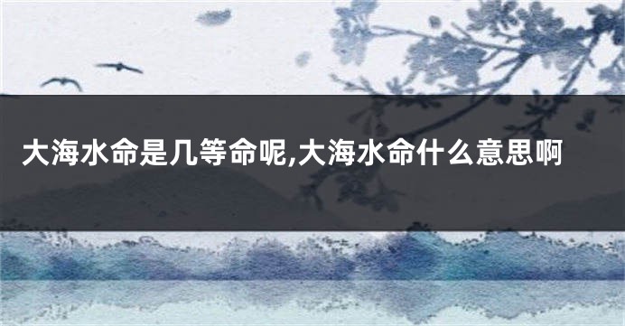 大海水命是几等命呢,大海水命什么意思啊
