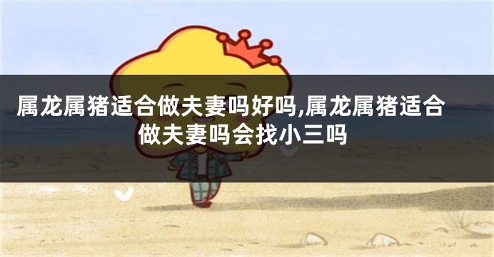属龙属猪适合做夫妻吗好吗,属龙属猪适合做夫妻吗会找小三吗
