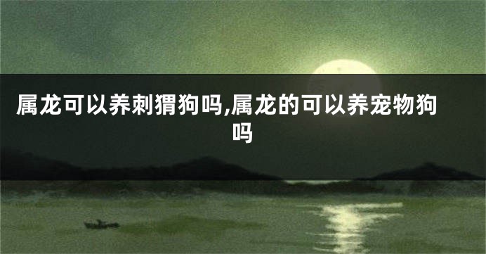 属龙可以养刺猬狗吗,属龙的可以养宠物狗吗