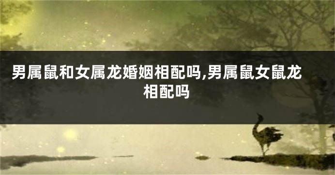 男属鼠和女属龙婚姻相配吗,男属鼠女鼠龙相配吗