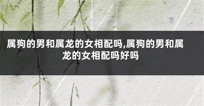 属狗的男和属龙的女相配吗,属狗的男和属龙的女相配吗好吗