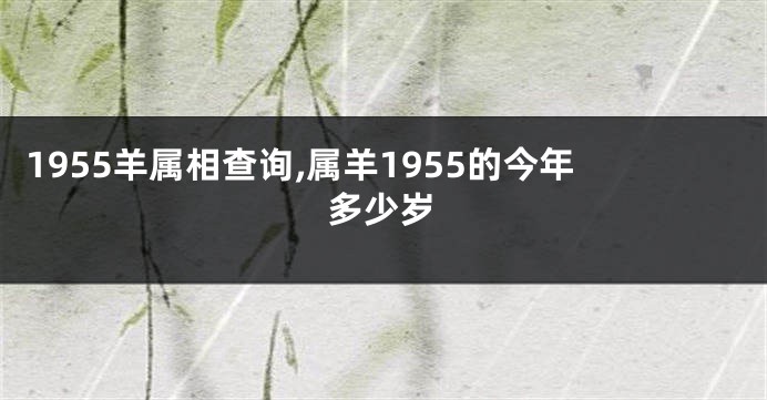 1955羊属相查询,属羊1955的今年多少岁