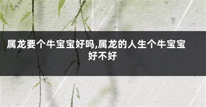 属龙要个牛宝宝好吗,属龙的人生个牛宝宝好不好