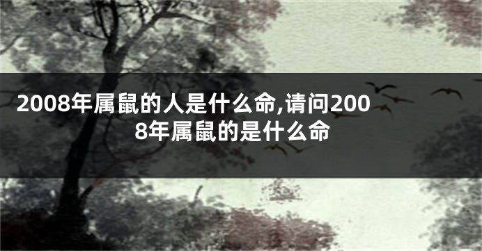 2008年属鼠的人是什么命,请问2008年属鼠的是什么命