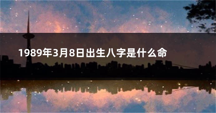 1989年3月8日出生八字是什么命