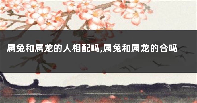 属兔和属龙的人相配吗,属兔和属龙的合吗