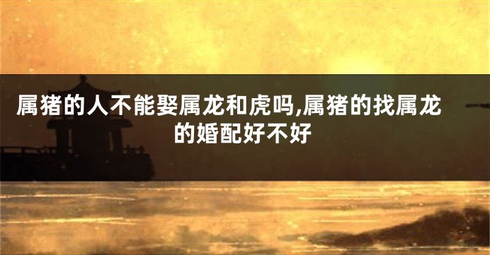 属猪的人不能娶属龙和虎吗,属猪的找属龙的婚配好不好