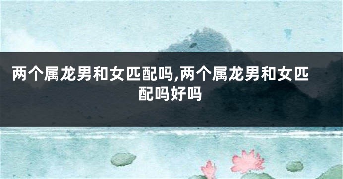 两个属龙男和女匹配吗,两个属龙男和女匹配吗好吗