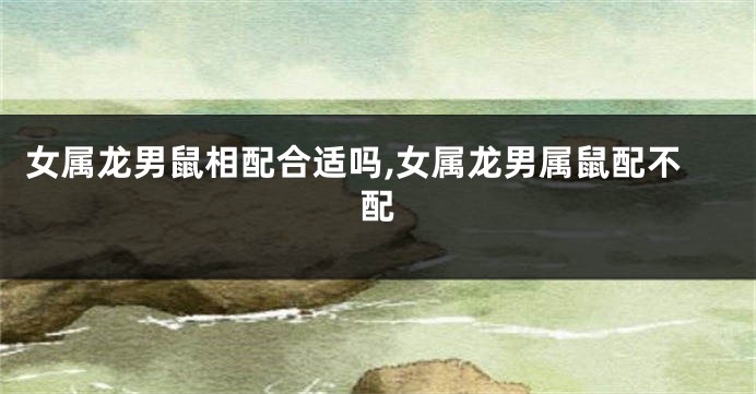女属龙男鼠相配合适吗,女属龙男属鼠配不配