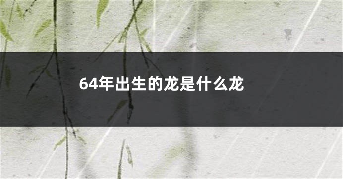 64年出生的龙是什么龙