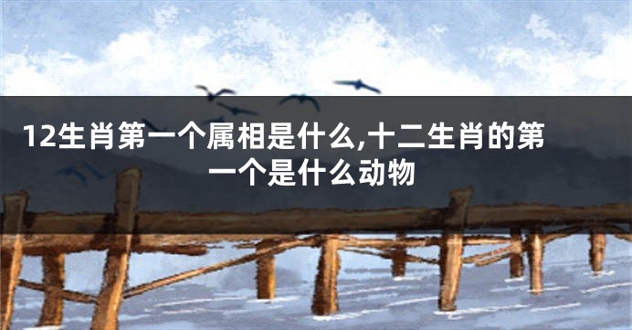 12生肖第一个属相是什么,十二生肖的第一个是什么动物