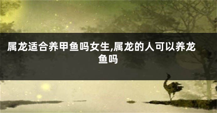 属龙适合养甲鱼吗女生,属龙的人可以养龙鱼吗