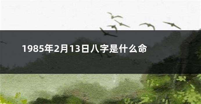 1985年2月13日八字是什么命