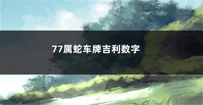 77属蛇车牌吉利数字