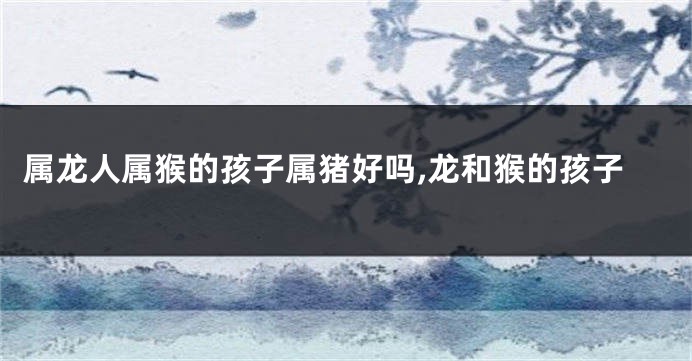属龙人属猴的孩子属猪好吗,龙和猴的孩子