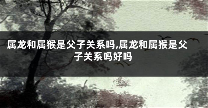 属龙和属猴是父子关系吗,属龙和属猴是父子关系吗好吗