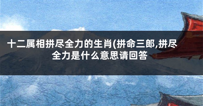 十二属相拼尽全力的生肖(拼命三郎,拼尽全力是什么意思请回答