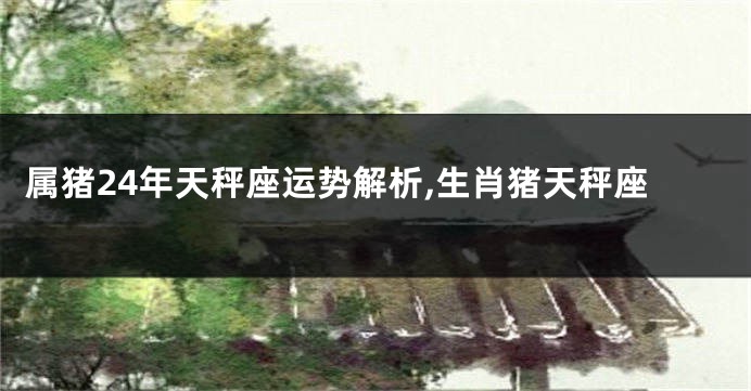 属猪24年天秤座运势解析,生肖猪天秤座