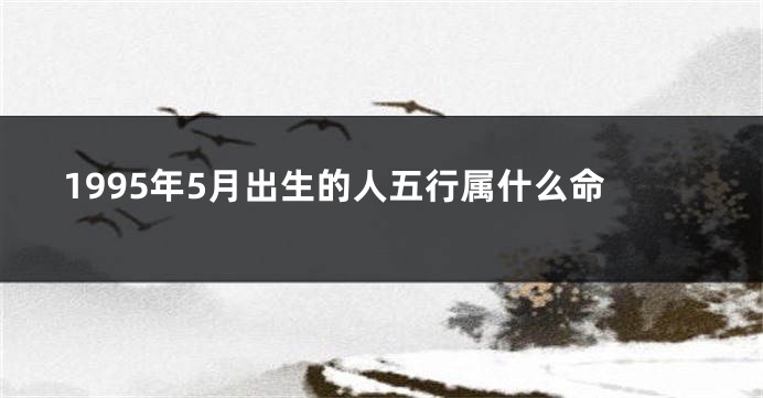 1995年5月出生的人五行属什么命