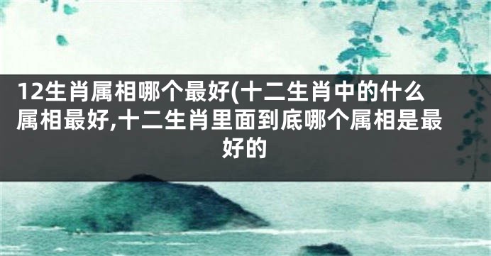 12生肖属相哪个最好(十二生肖中的什么属相最好,十二生肖里面到底哪个属相是最好的