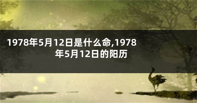 1978年5月12日是什么命,1978年5月12日的阳历