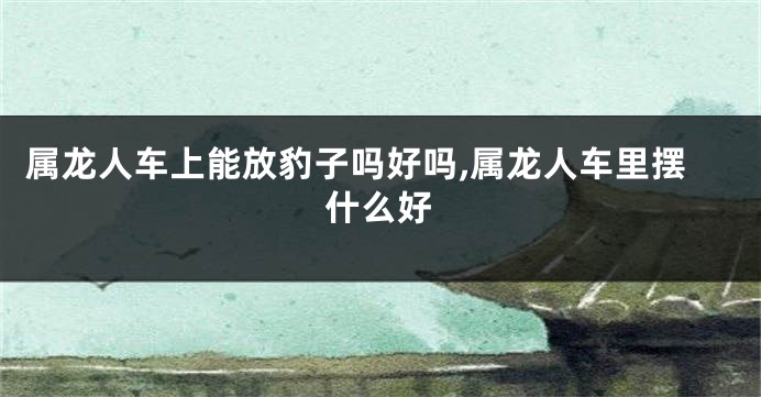 属龙人车上能放豹子吗好吗,属龙人车里摆什么好
