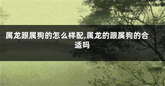 属龙跟属狗的怎么样配,属龙的跟属狗的合适吗