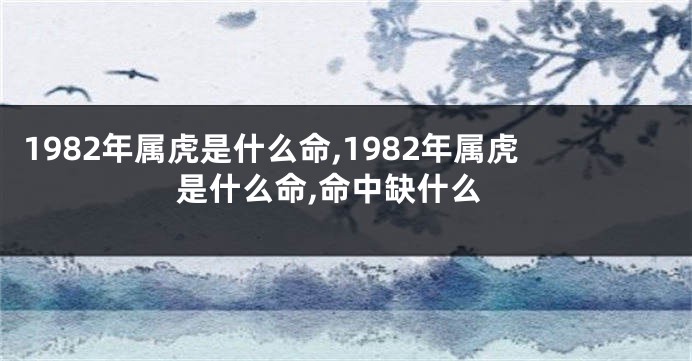 1982年属虎是什么命,1982年属虎是什么命,命中缺什么