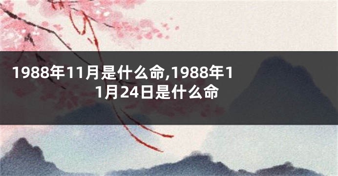 1988年11月是什么命,1988年11月24日是什么命