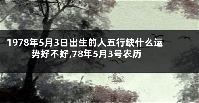 1978年5月3日出生的人五行缺什么运势好不好,78年5月3号农历