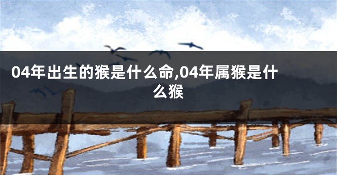 04年出生的猴是什么命,04年属猴是什么猴