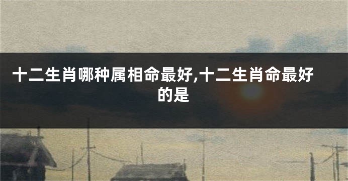 十二生肖哪种属相命最好,十二生肖命最好的是