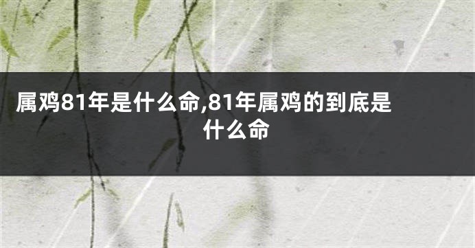 属鸡81年是什么命,81年属鸡的到底是什么命