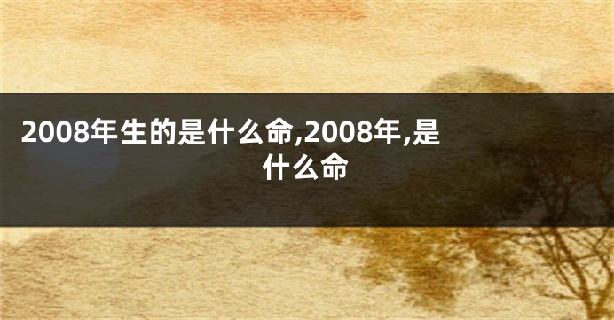 2008年生的是什么命,2008年,是什么命
