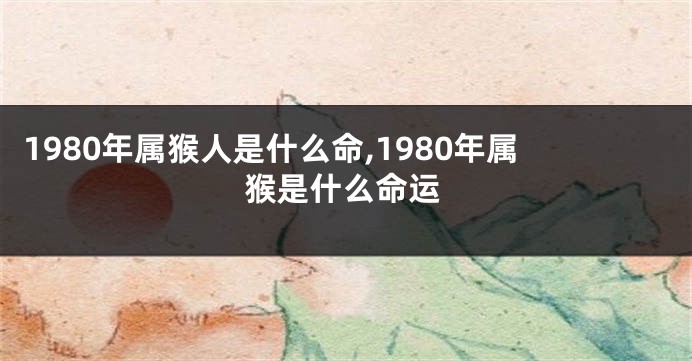 1980年属猴人是什么命,1980年属猴是什么命运
