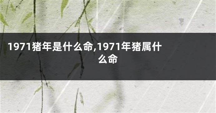 1971猪年是什么命,1971年猪属什么命