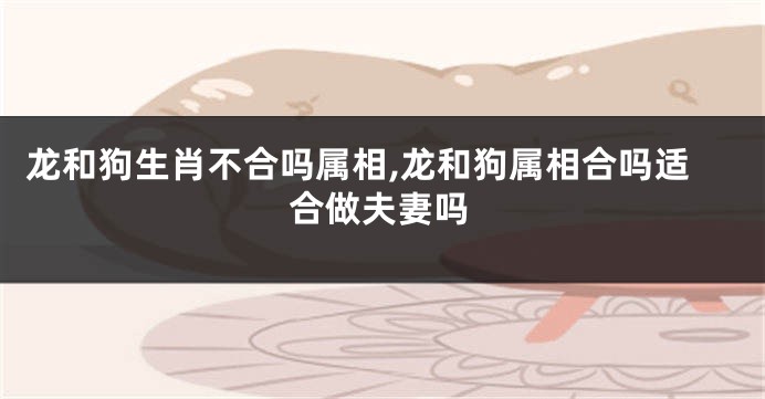 龙和狗生肖不合吗属相,龙和狗属相合吗适合做夫妻吗