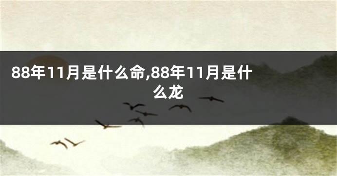 88年11月是什么命,88年11月是什么龙