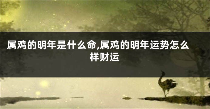 属鸡的明年是什么命,属鸡的明年运势怎么样财运