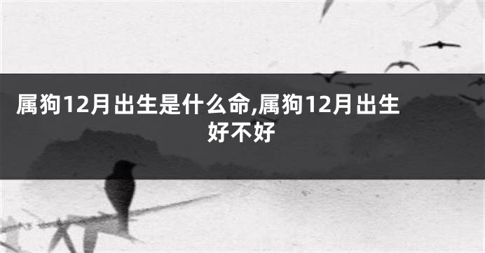 属狗12月出生是什么命,属狗12月出生好不好