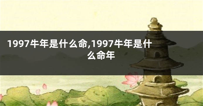1997牛年是什么命,1997牛年是什么命年