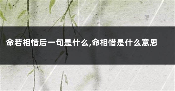 命若相惜后一句是什么,命相惜是什么意思