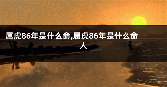 属虎86年是什么命,属虎86年是什么命人