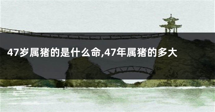 47岁属猪的是什么命,47年属猪的多大