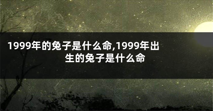 1999年的兔子是什么命,1999年出生的兔子是什么命