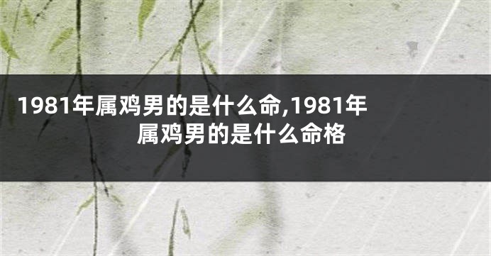 1981年属鸡男的是什么命,1981年属鸡男的是什么命格